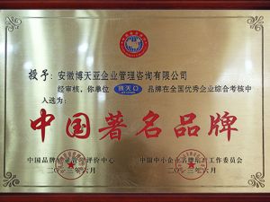 中國(guó)著名品牌