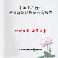 中國(guó)電力行業(yè)深度調(diào)研及投資咨詢報(bào)告