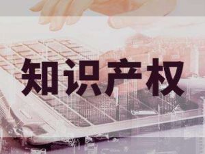 知識(shí)產(chǎn)權(quán)管理體系認(rèn)證