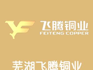 恭喜蕪湖飛騰銅業(yè)有限公司通過(guò)博天亞獲得ISO9000證書