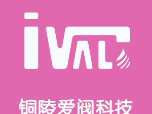 恭喜銅陵愛(ài)閥科技有限公司通過(guò)博天亞獲得ISO9000證書