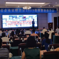 安徽企聯(lián)2019股權激勵報告會召開！
