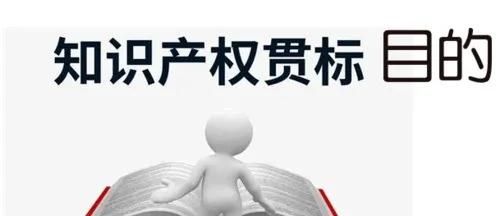 這邊看來！知識產(chǎn)權貫標申請條件、流程、貫標輔導周期一覽